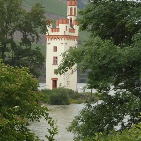 Schuster Und Gaestehaus Rüdesheim am Rhein