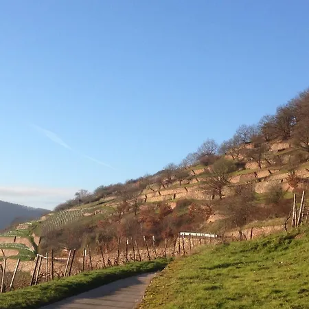 Schuster Und Gaestehaus Ξενοδοχείο Rüdesheim am Rhein