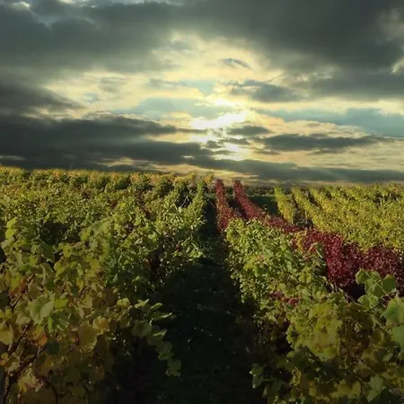 Schuster Und Gaestehaus Ξενοδοχείο 3*