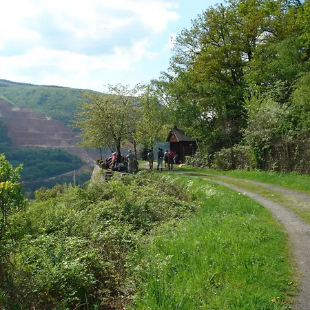 Schuster Und Gaestehaus Rüdesheim am Rhein