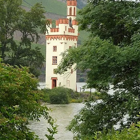 Hotel Schuster Und Gaestehaus