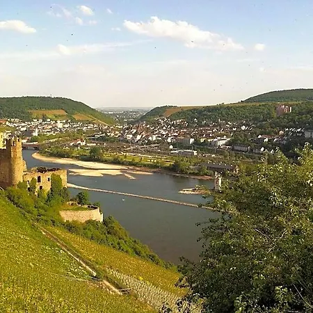 Schuster Und Gaestehaus Rüdesheim am Rhein