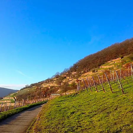 Hotel Schuster Und Gaestehaus