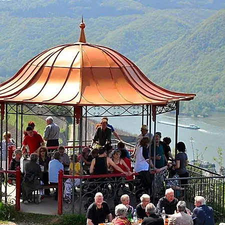 Hotel Schuster Und Gaestehaus 3*