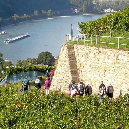 Schuster Und Gaestehaus Hotel 3*