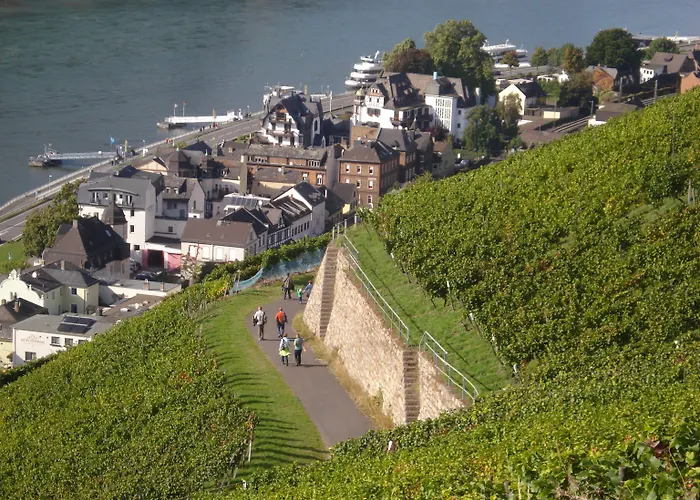 Schuster Und Gaestehaus Hotel