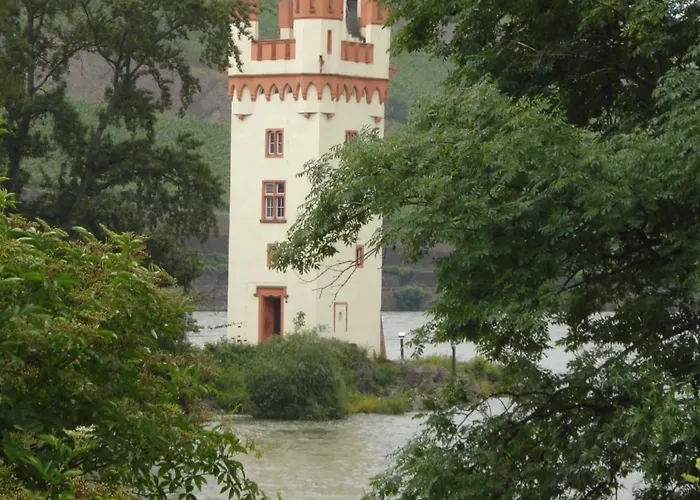 Schuster Und Gaestehaus Rüdesheim am Rhein