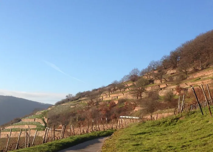 Schuster Und Gaestehaus Hotel Rüdesheim am Rhein