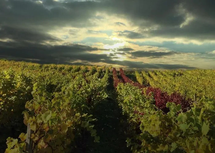 Schuster Und Gaestehaus Hotel 3*