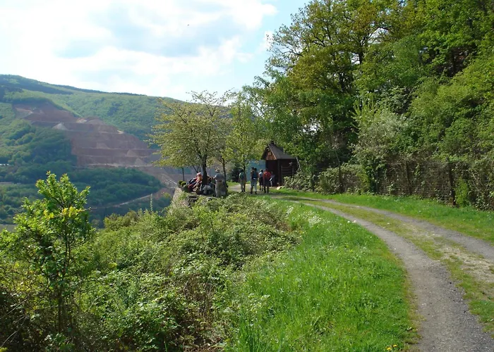 Schuster Und Gaestehaus Rüdesheim am Rhein